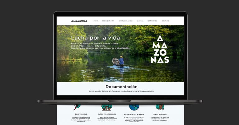 Diseño web responsive Amazonas.